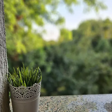 Meraki Apartament